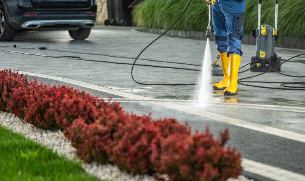 Best House Exterior Washing  in Pine Prairie, LA